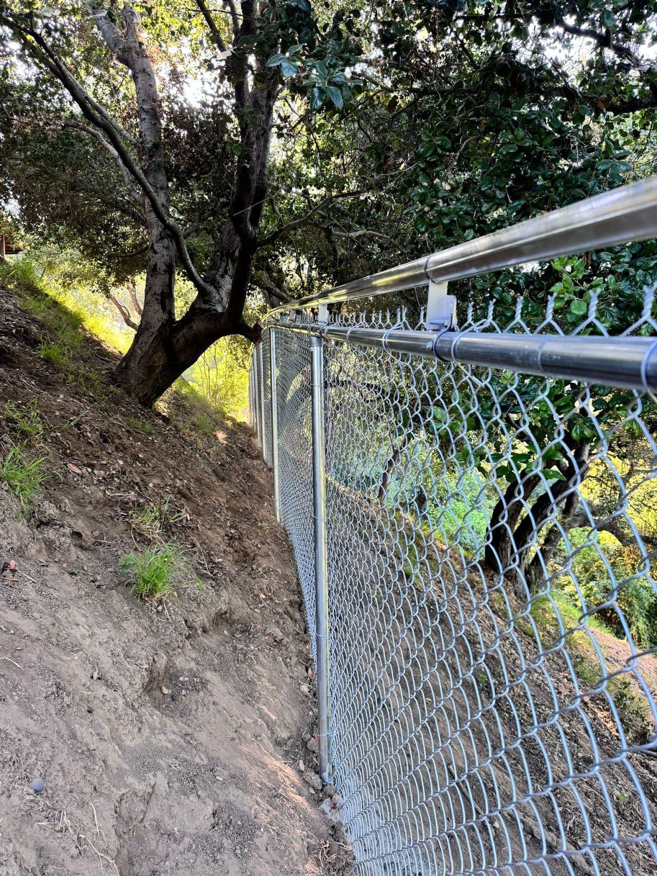 Chain-link fence following a dirt slope under trees
